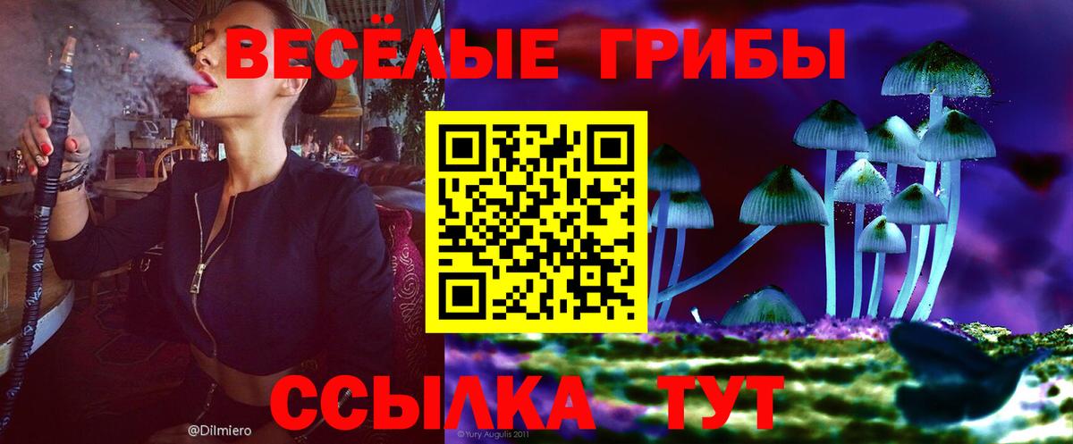 Аша  Галлюциногенные грибы Psilocybe  Вход с VPN 